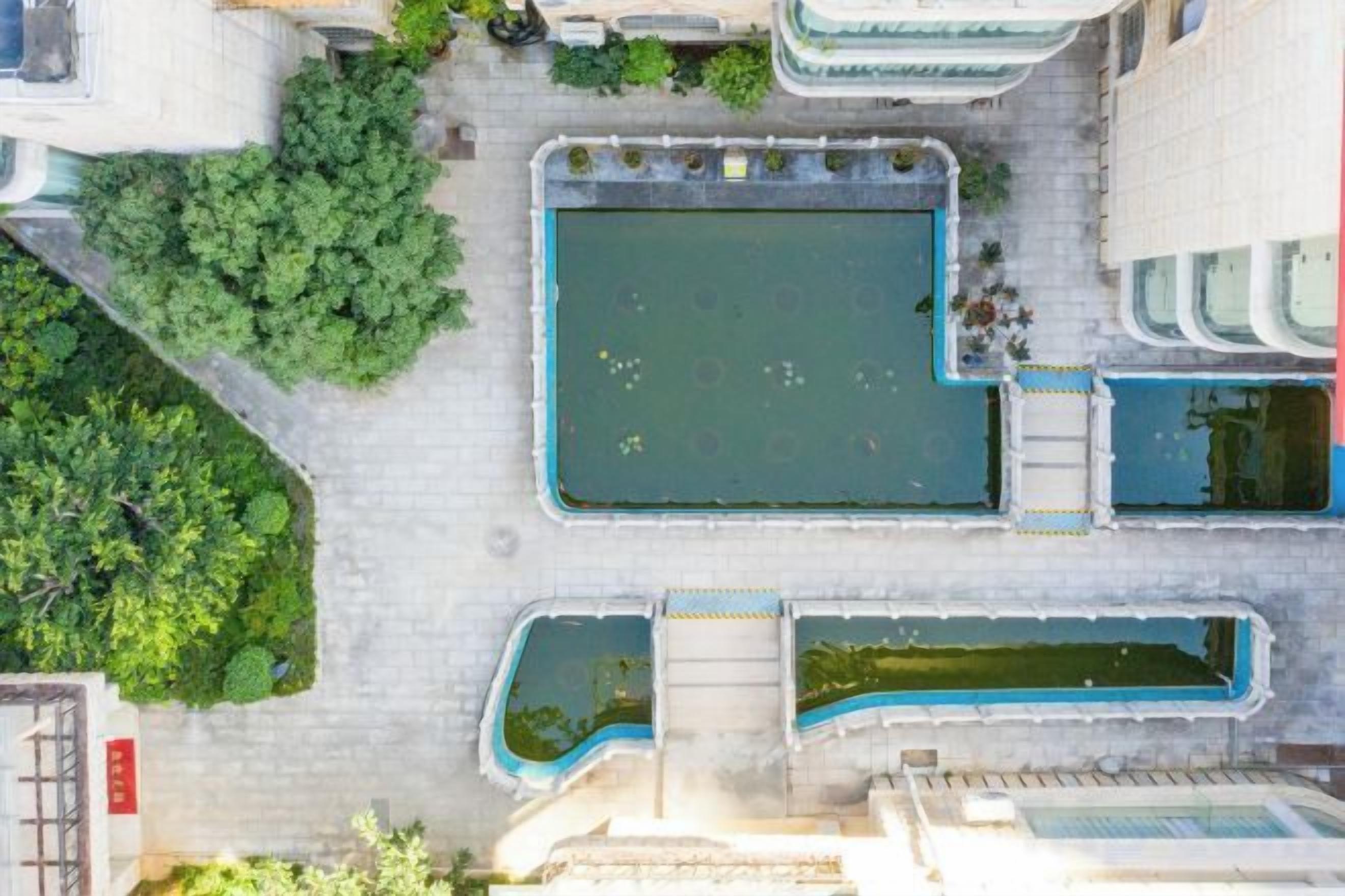 Vista aérea de un patio con una piscina rectangular central, rodeado de vegetación y edificios adyacentes.