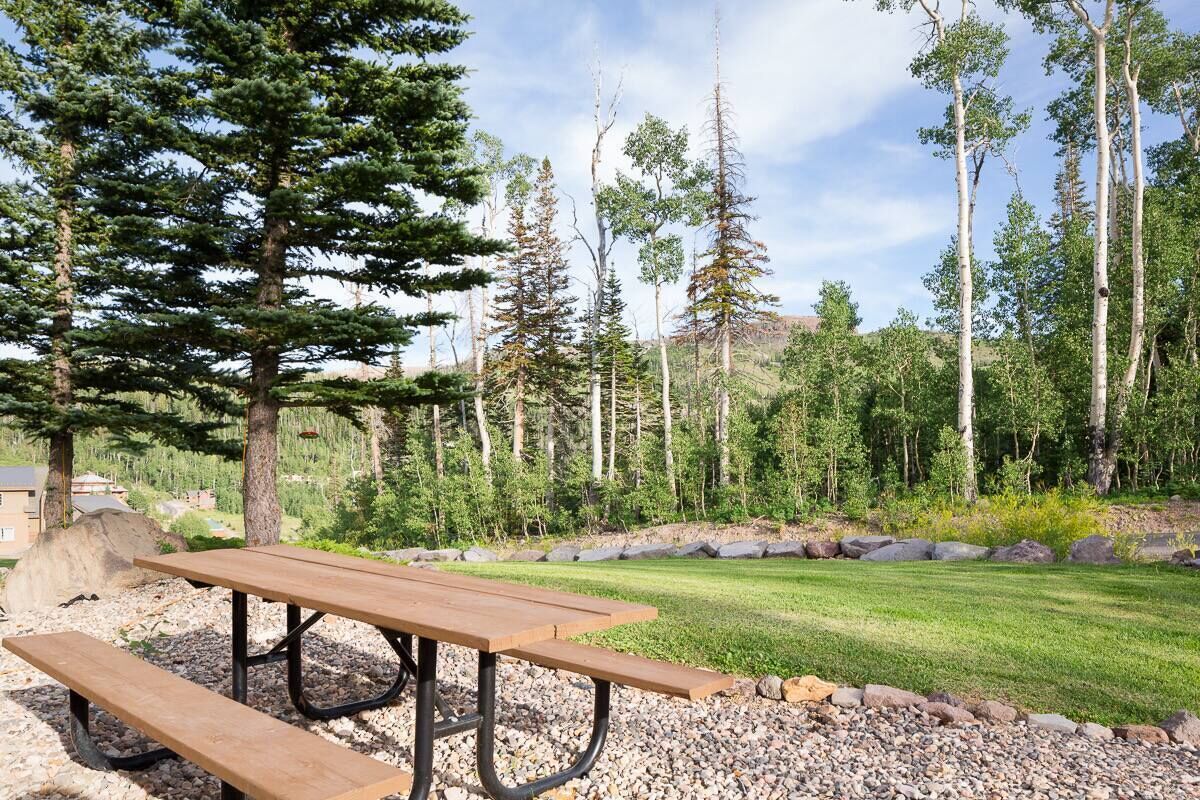 A picnic table in a natural setting with trees and a grassy area.