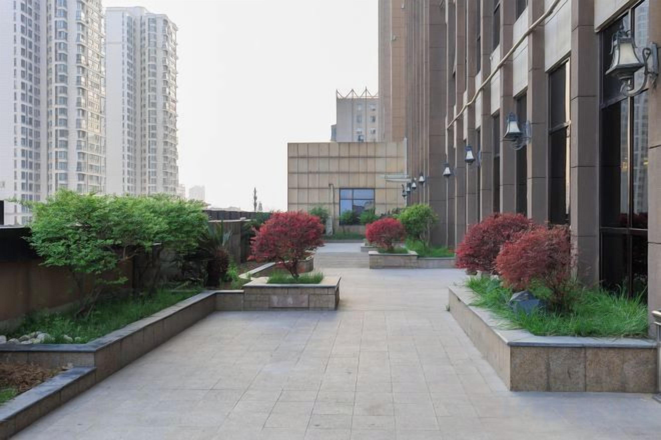 A pathway flanked by planters with shrubs and a building with a modern facade.