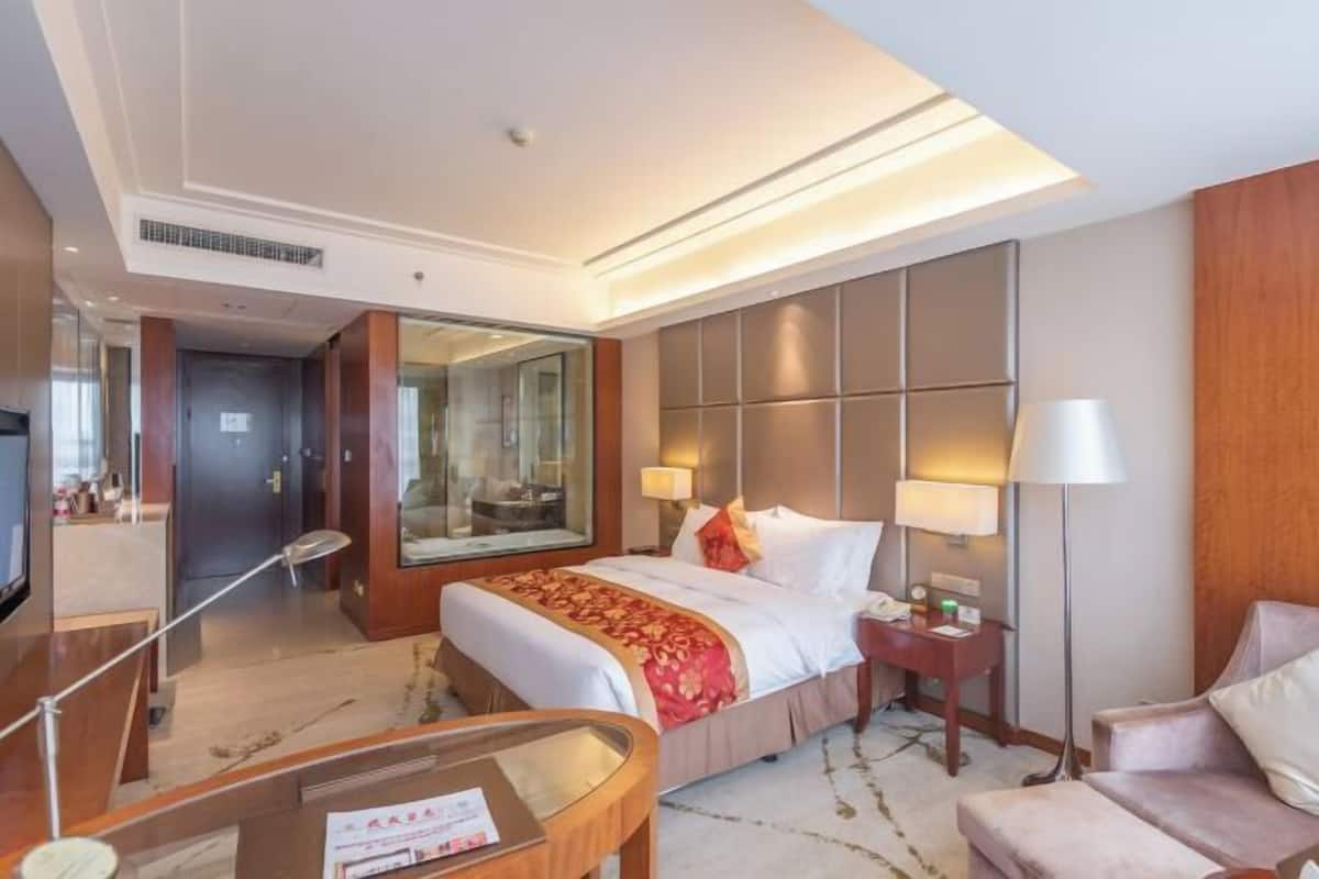 Habitación de hotel con cama, mesitas de noche, escritorio, silla, televisor y espejo.