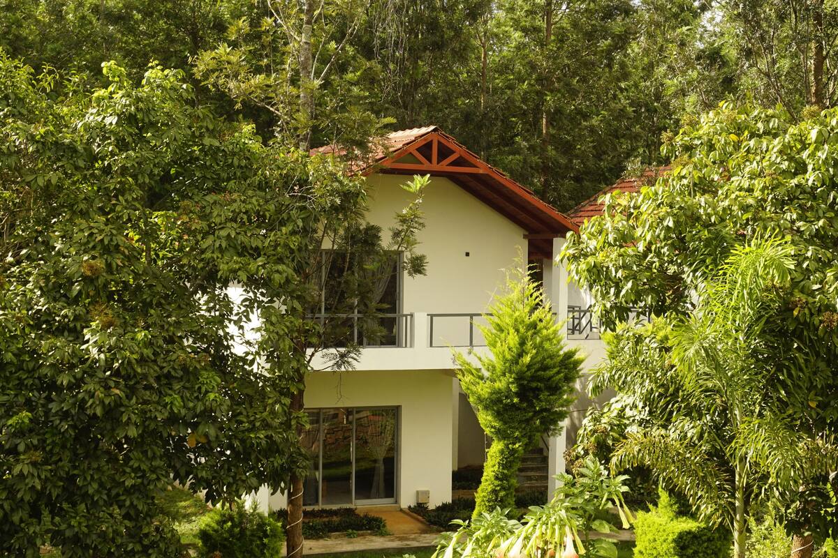A modern two-story house surrounded by lush greenery.