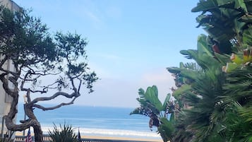 Beach nearby, sun-loungers, beach towels