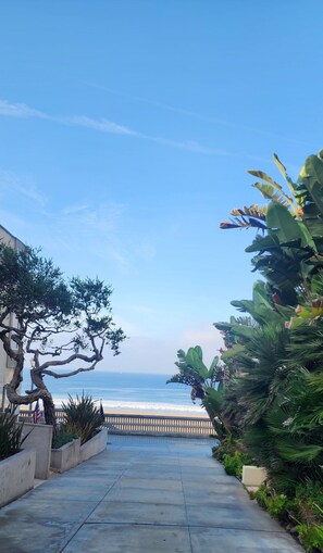 Beach nearby, sun-loungers, beach towels - Location, Location, Location (Manhattan Beach)