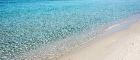 Beach umbrellas, beach towels