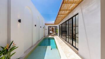 Outdoor pool, sun loungers