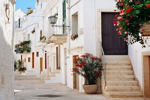 A narrow street with white buildings, a dark door, and a potted plant with red flowers. - Masseria Maranna Trulli & Spa (Martina Franca)