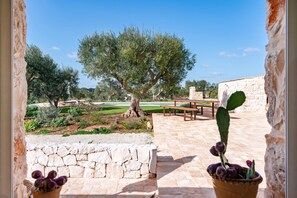 Un patio de piedra con una mesa y sillas, un árbol grande y una planta de cactus.
