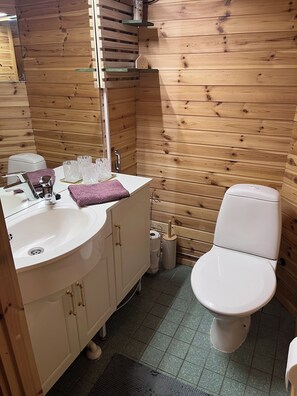 Shower, hair dryer, bidet, soap - Nallentupa - Spacious cottage in the beautiful landscape of Pyhätunturi (Pyhätunturi)