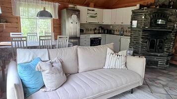 TV connectée, cheminée, lecteur de DVD, vidéothÚque