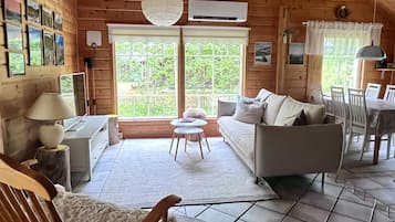 Smart TV, fireplace, DVD player, video library