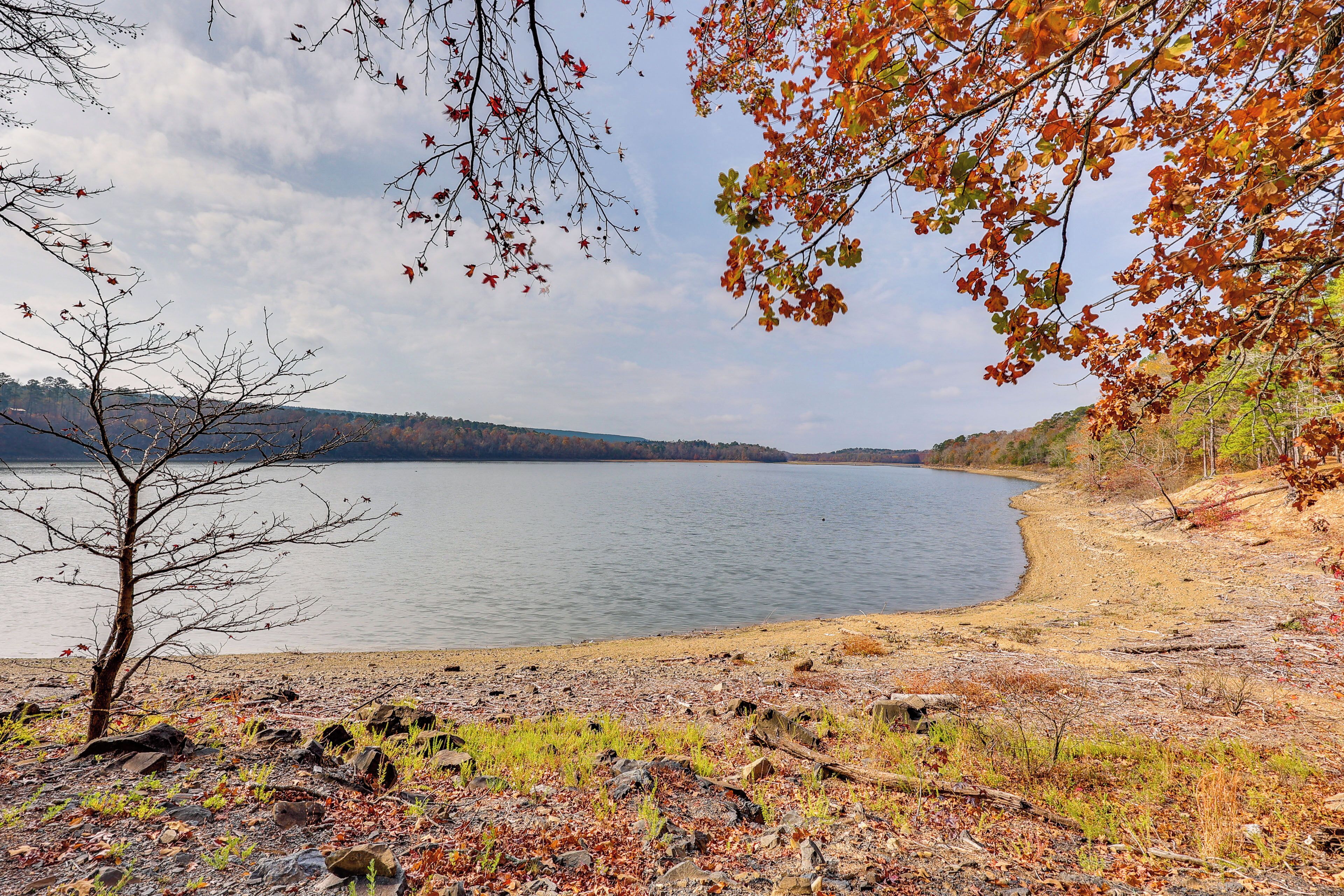 A lakeside view with a rocky shoreline, a leafless tree, and autumn foliage.