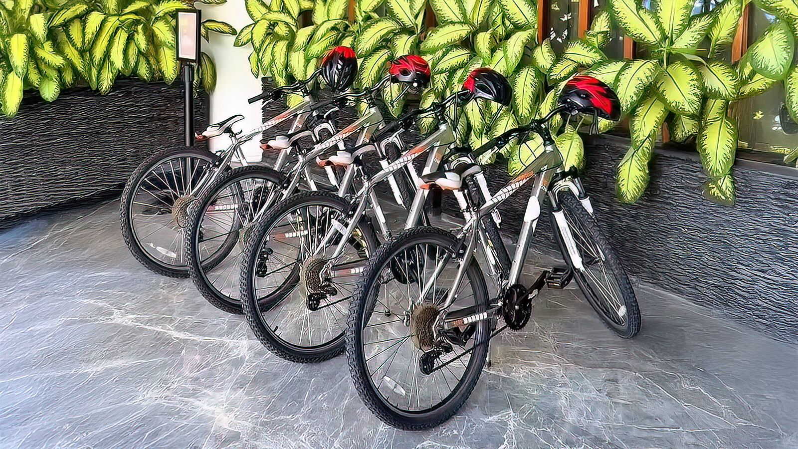 A row of bicycles parked against a wall with green foliage in the background.