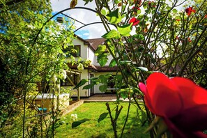 المنطقة المحيطة بالمنشأة