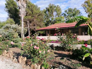 Room, 1 Bedroom, Balcony | Property grounds