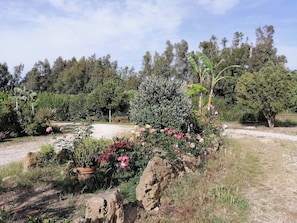 Room, 1 Bedroom, Balcony | Garden - Room-serraona Room 2 km From the sea (Alghero)