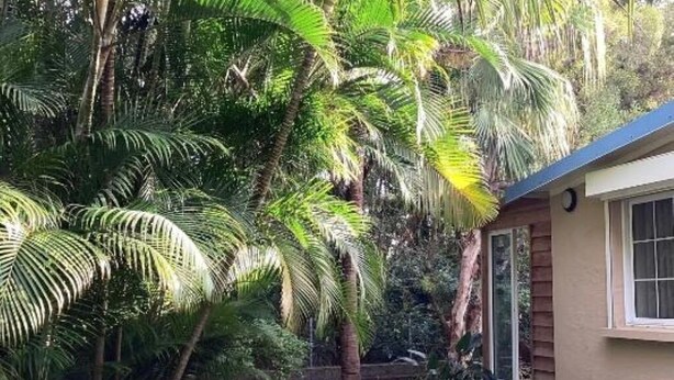 Une maison dotée d’un jardin agrémenté de palmiers et d’un petit espace patio.