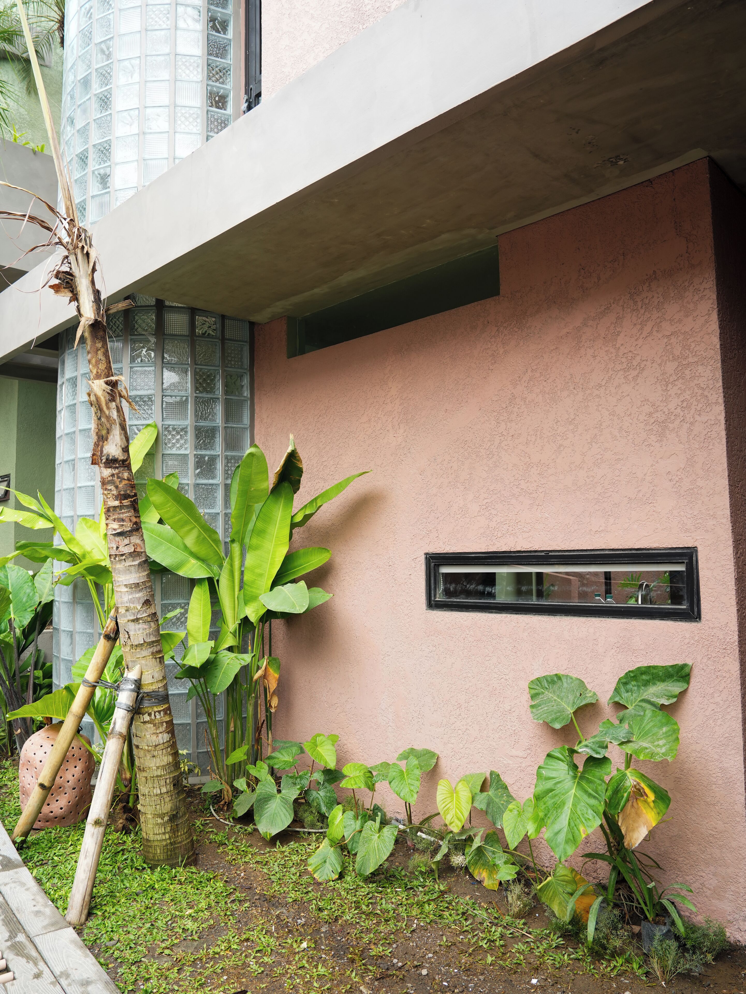 A modern building with a pink stucco exterior, a window, and a small planter with green foliage.