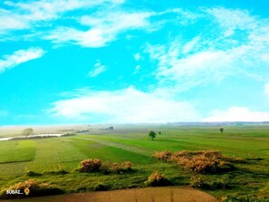 Standard Double Room | View from room