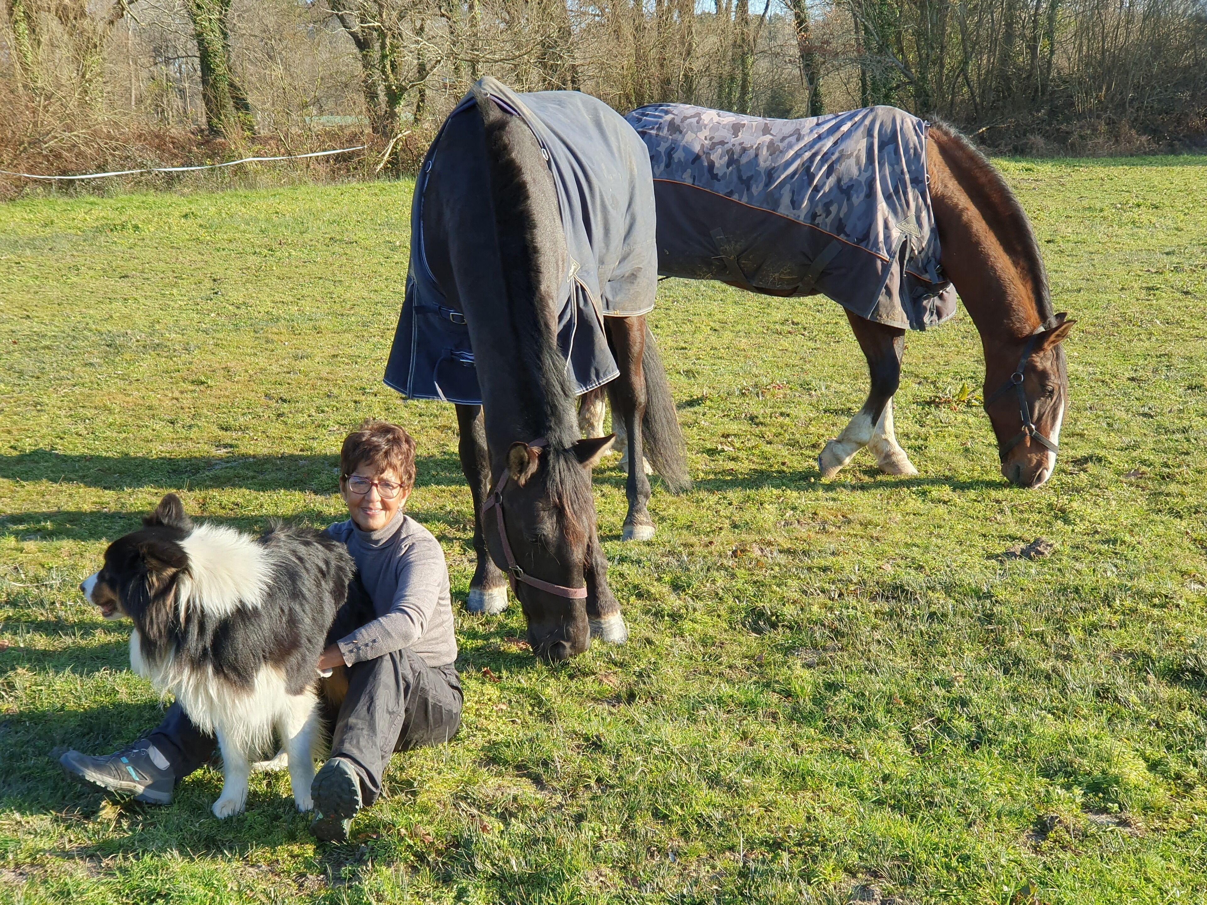 A person sitting on the grass with a horse and a dog.