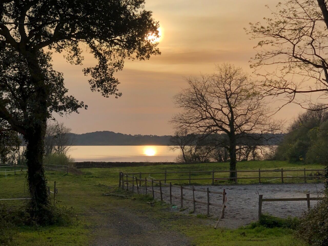 A pathway leading to a body of water with a sunset in the background.