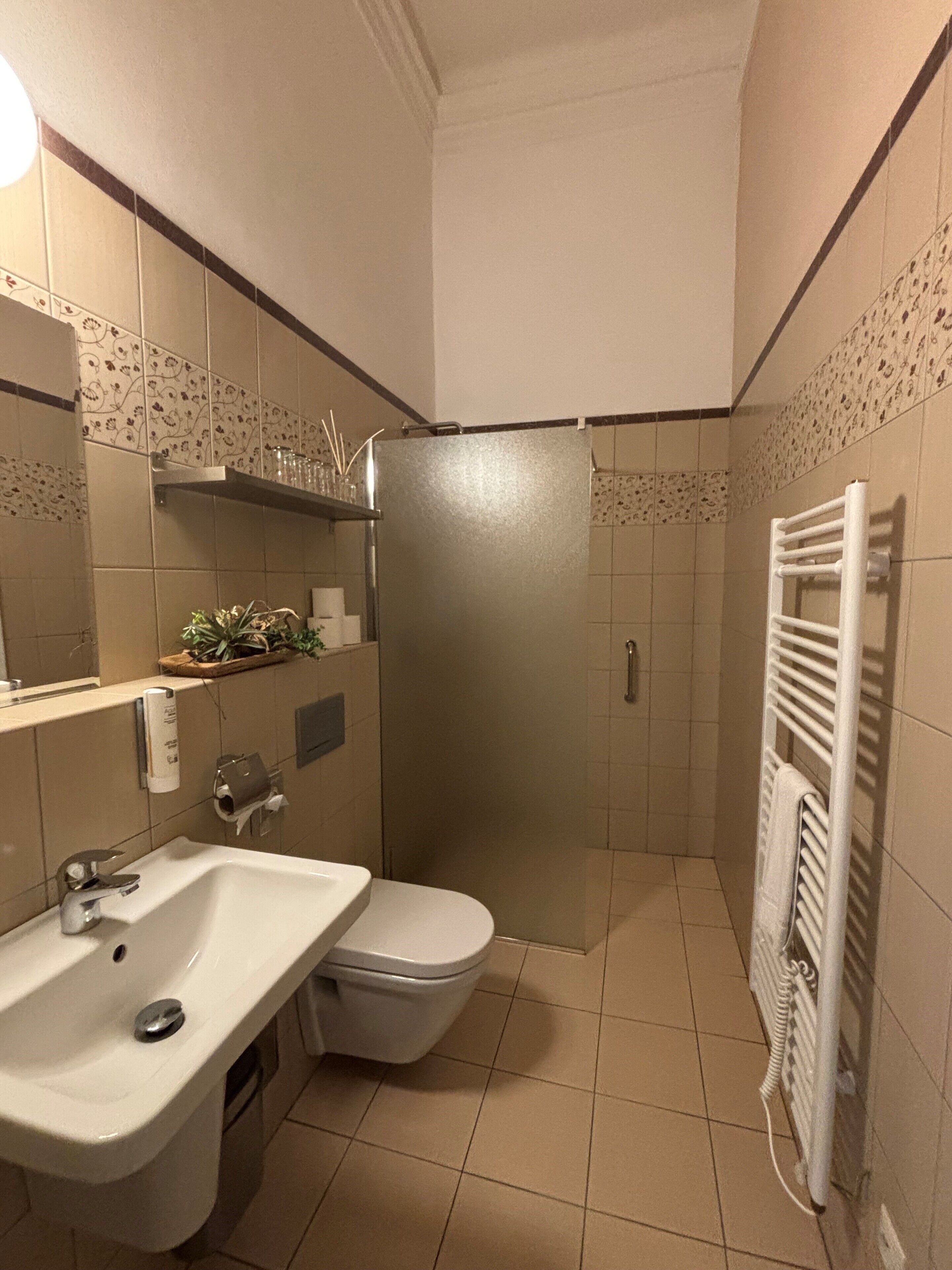 Casa de banho com lavatório, sanita, chuveiro e porta-toalhas.