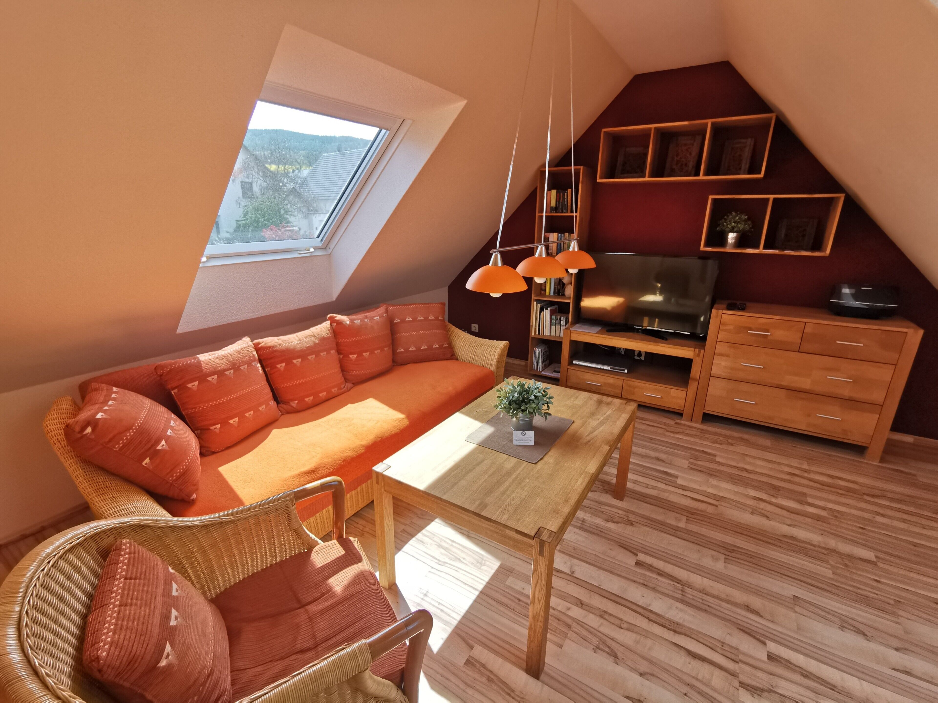 Fernseher, Kamin