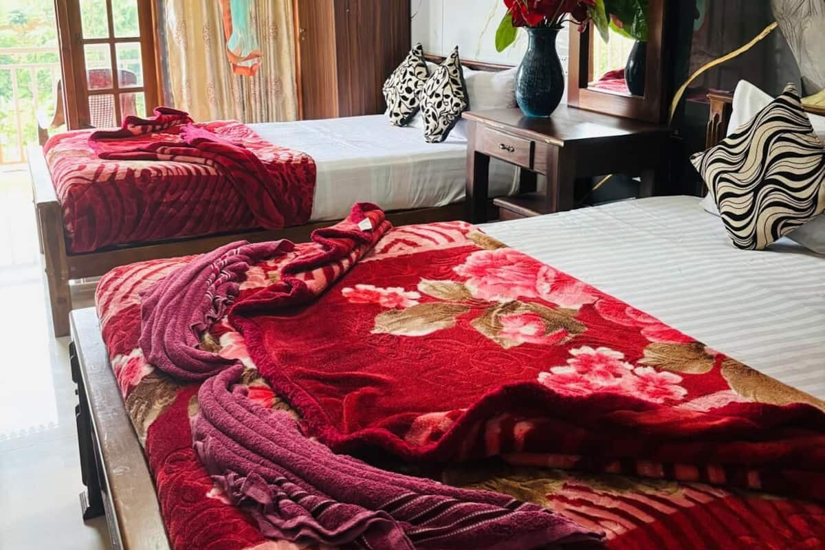 Basic Double or Twin Room, Balcony, Mountain View | Desk, free WiFi