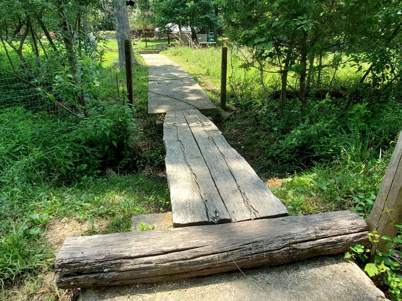 Ein Holzweg schlängelt sich durch ein bewaldetes Gebiet.
