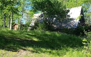 Eine rustikale Holzhütte, umgeben von dichtem Wald und einer grünen Wiese.