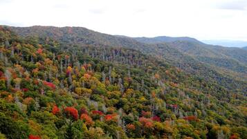 A forested mountain landscape.