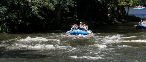 Un grupo de personas haciendo rafting en un río rodeado de abundante vegetación.