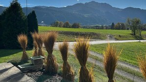 A rural landscape with a stone pathway, tall grasses, and a mountain backdrop. - Cozy holiday home with mountain views (Breitenbach am Inn)