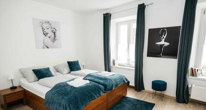 Apartment “Premium Fagyi” with Wi-Fi