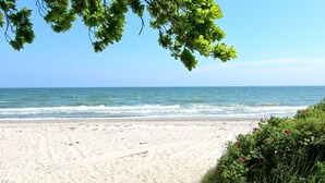 Ein Strand mit freiem Blick auf den Ozean, sandigem Ufer und grüner Vegetation.