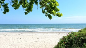 Uma praia com vista clara para o oceano, areal arenoso e alguma vegetação.