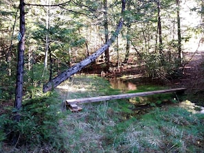 Miscellaneous - Romantic Trinity Cabin Getaway with Lovely Woodland Views in Nevada City, California (Nevada City)