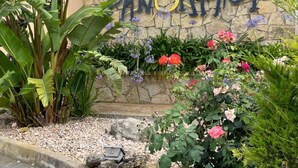 Entrada de un edificio con un muro de piedra y el nombre 'PANORAMICA' en letras grandes. Varias plantas y flores decoran el frente.