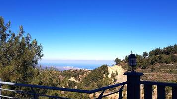 Villa, 4 Bedrooms, Terrace, Mountain View | Property grounds