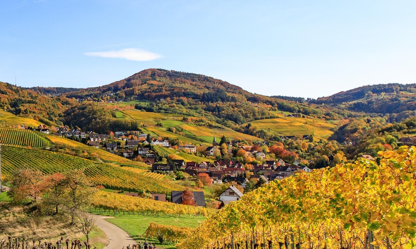 Un borgo rurale circondato da dolci colline, con case e vigneti.
