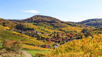 Un borgo rurale circondato da dolci colline, con case e vigneti.
