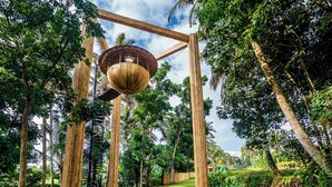 A garden with a wooden structure, bamboo pillars, and a circular wooden platform. - 12 Bedroom Myosotis VVV (Ubud)
