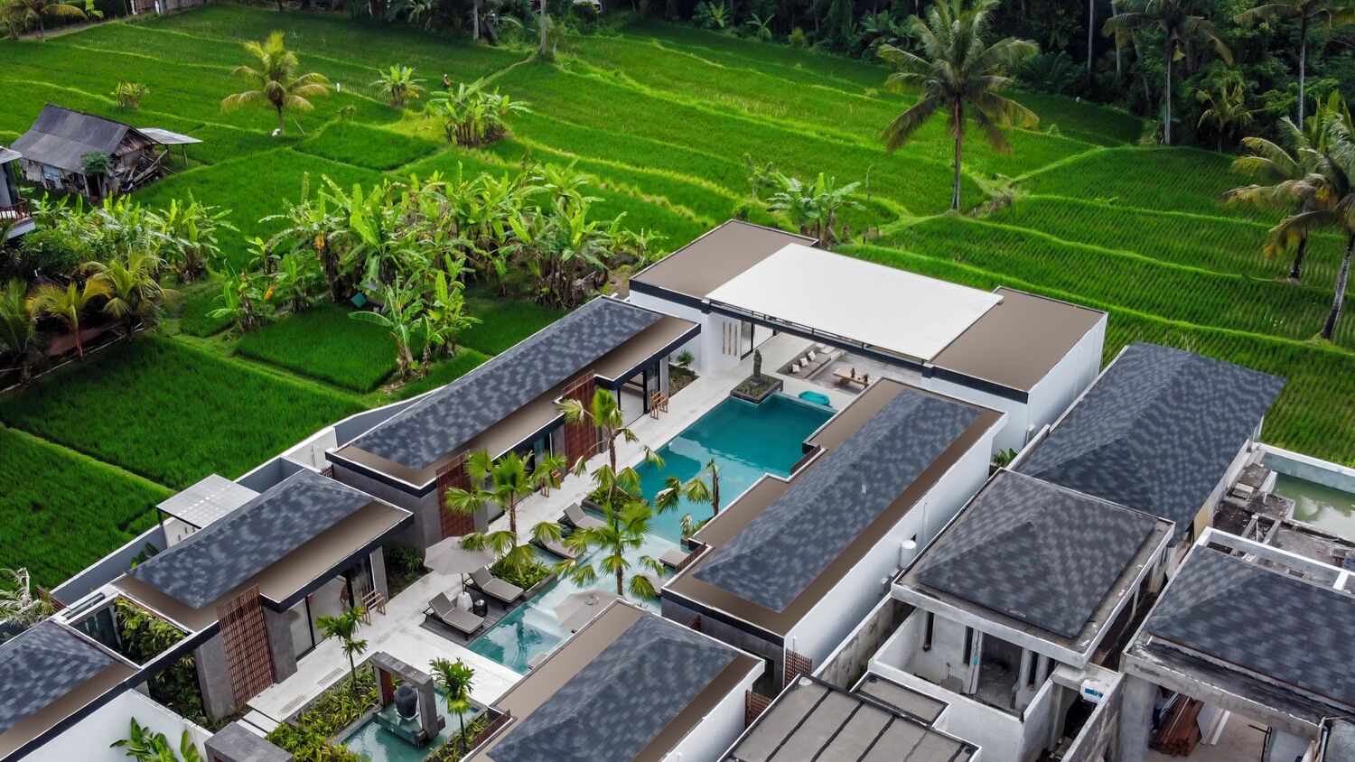 A modern resort with a swimming pool, surrounded by lush green rice paddies and palm trees.