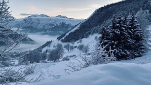 Paisagem montanhosa coberta de neve, com florestas densas e vista clara dos picos.