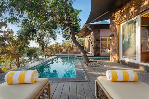 Wild forest Sasan Gir Wildlife Sanctuary