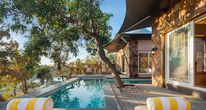 Wild forest Sasan Gir Wildlife Sanctuary