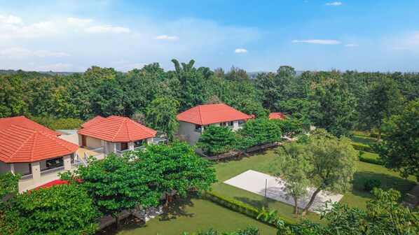 A residential area with multiple houses, each with a red roof, surrounded by lush greenery and trees. - The Forest Chapter By Sayaji Madhai (Sarangpur)