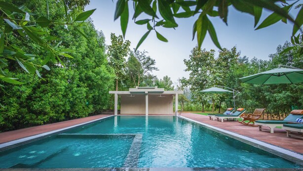 Una piscina con solarium, immersa nel verde.
