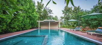 사야지 마다이의 더 포레스트 챕터