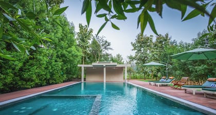 The Forest Chapter By Sayaji Madhai