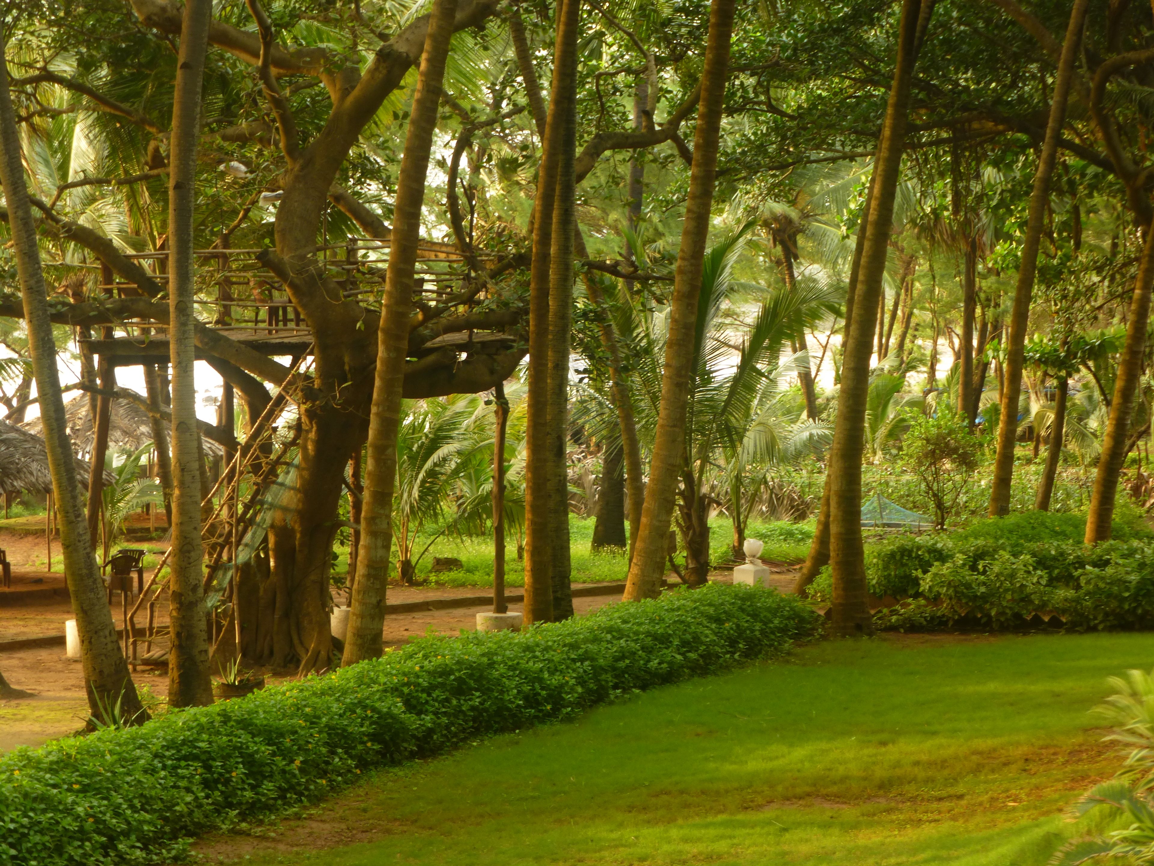 A lush garden with a wooden bridge, surrounded by tall trees and well-maintained grass.